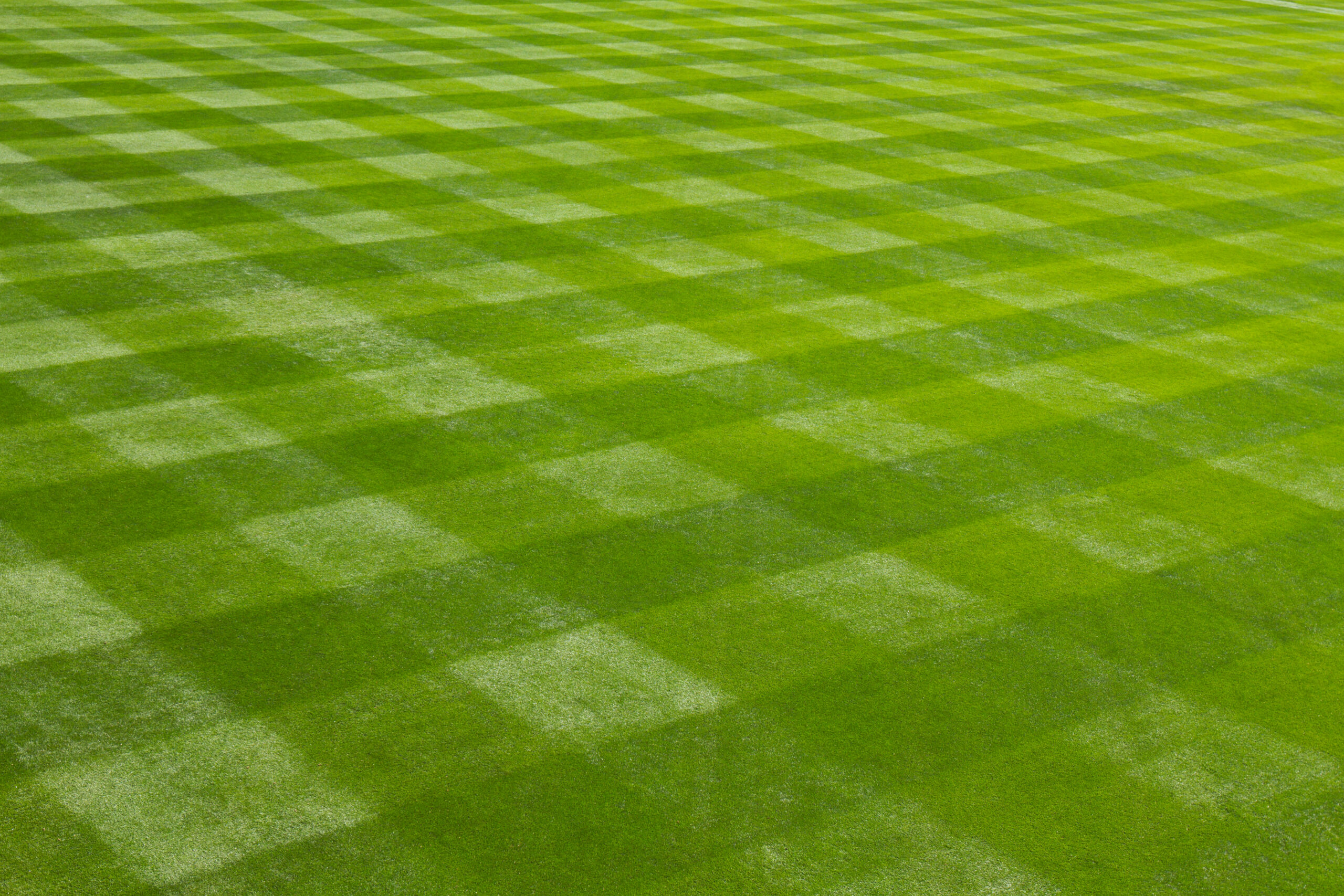 Perfect cross hatching marks a well managed grass field in a baseball stadium.