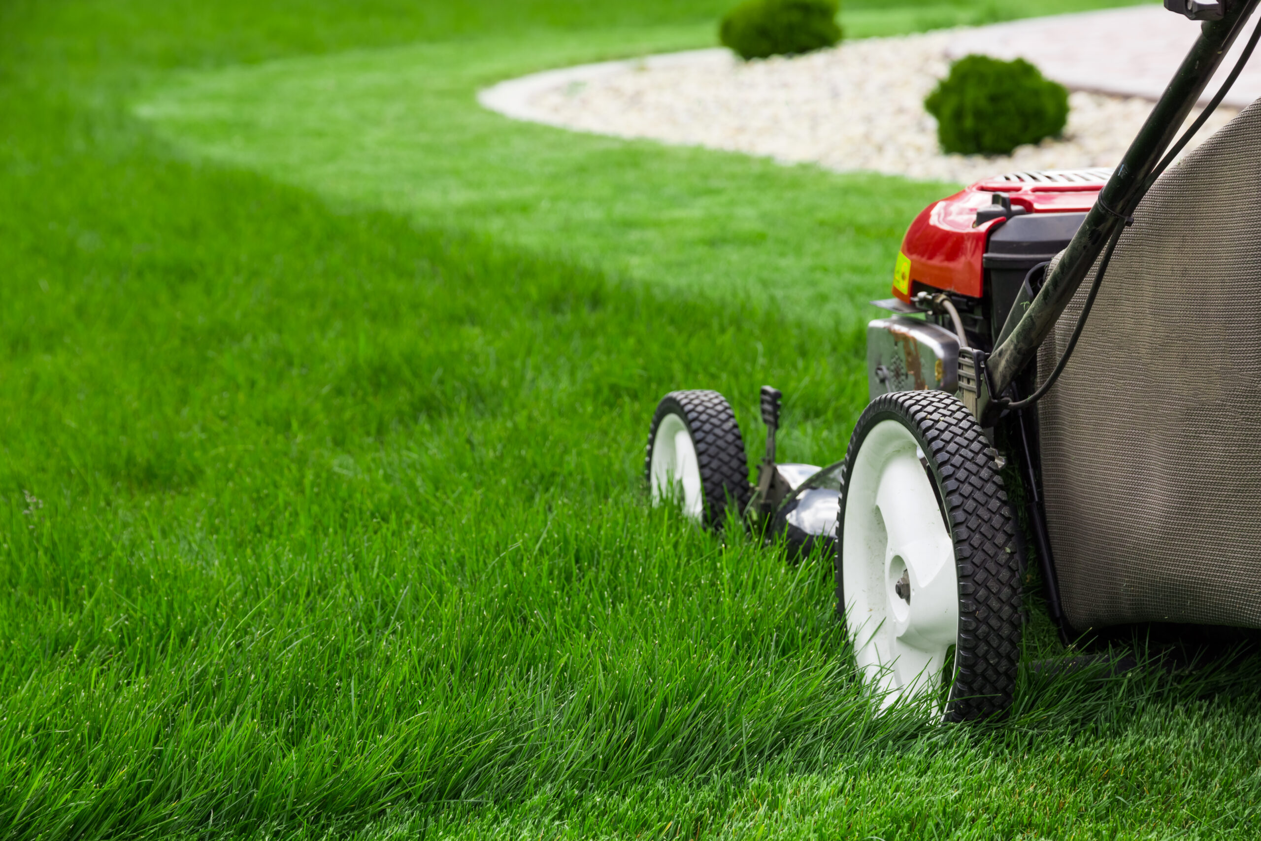 Photograph of lawn mower on the green grass. Mower is located on the right side of the photograph with view on grass field.